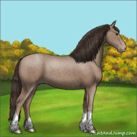 Horse Color:Classic Champagne 