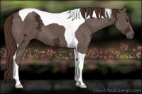 Horse Color:Liver Chestnut Ice Tobiano