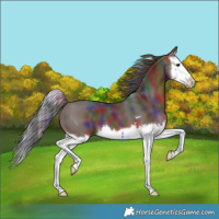 Horse Color:Nacre Brown Splash 