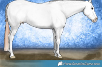 Horse Color:Black Splash Tobiano Blanket 