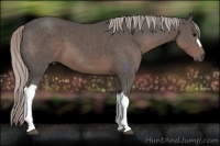 Horse Color:Silver Black 