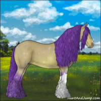 Horse Color:Watercolor Bay 