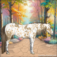 Horse Color:Classic Cream Champagne  and Buckskin Near Leopard 