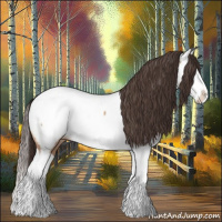Horse Color:Amber Champagne Splash Near Fewspot 