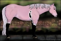 Horse Color:Watercolor Silver Bay Tobiano Frame 