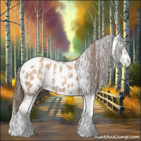 Horse Color:Amber Champagne Sabino Appaloosa 