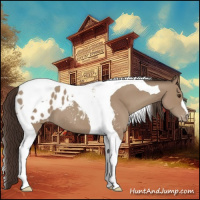 Horse Color:Classic Champagne Tobiano Appaloosa