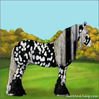 Horse Color:Watercolor White Spotted Buckskin Pearl Dun Appaloosa 