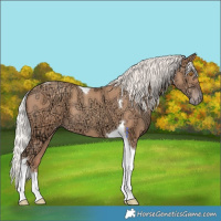 Horse Color:Silver Classic Champagne Ice Tobiano 