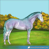 Horse Color:Watercolor White Spotted Sable Champagne Chinchilla Onyx Sabino Splash 
