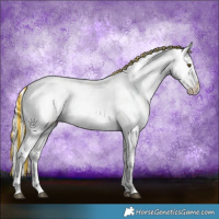 Horse Color:Painted White Spotted Silver Buckskin Ice Dun Varnish Rabicano Brindle 