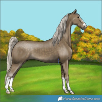 Horse Color:Silver Smoky Black 