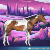 Horse Color:Bay Tobiano 