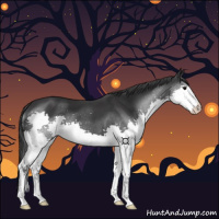 Horse Color:Black Splash