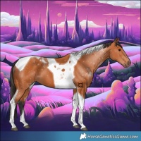 Horse Color:Bay Tobiano 