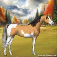 Horse Color:Buckskin Splash Tobiano 