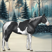 Horse Color:Black Splash Tobiano 
