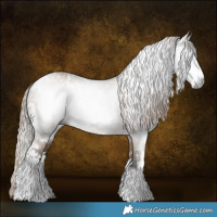 Horse Color:Gray White Spotted Liver Red Dun 