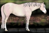 Horse Color:Watercolor Chocolate Palomino Pearl Splash 