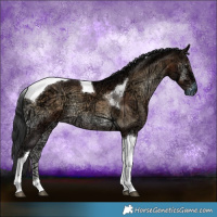 Horse Color:Brown Ice Onyx Tobiano 