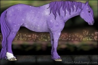 Horse Color:Watercolor Black Rabicano 