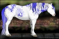 Horse Color:Watercolor White Spotted Black Ice Splash 