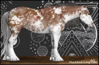 Horse Color:Bay Sabino 