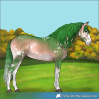 Horse Color:Watercolor White Spotted Bay Onyx Splash 