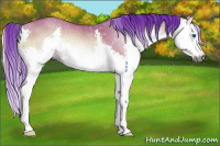 Horse Color:Gray Watercolor Bay Onyx Splash 