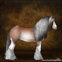 Horse Color:Gray Bay Tobiano 