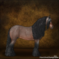 Horse Color:Gray Bay Roan 