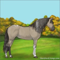 Horse Color:Smoky Grullo Sabino Tobiano 