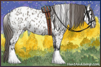 Horse Color:Grullo Appaloosa 