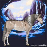 Horse Color:White Spotted Liver Red Dun Mushroom Rabicano 