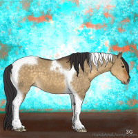 Horse Color:Buckskin Dun Tobiano 
