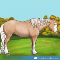 Horse Color:White Spotted Silver Bay Pearl Rabicano