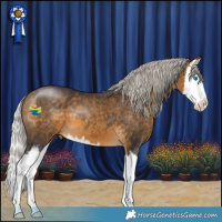 Horse Color:Silver Buckskin Splash 