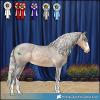 Horse Color:Silver Buckskin Varnish 