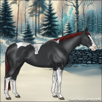 Horse Color:Painted Black Splash Tobiano 