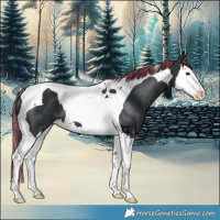 Horse Color:Painted Black Splash Tobiano 