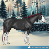 Horse Color:Painted Black Splash 