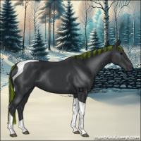 Horse Color:Painted Black Tobiano 