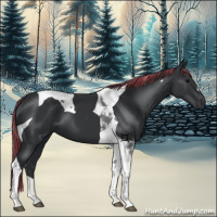 Horse Color:Painted Black Tobiano 