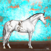 Horse Color:Liver Red Dun Sabino 