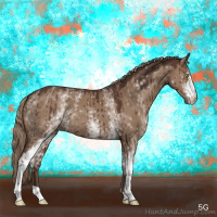 Horse Color:White Spotted Liver Red Dun Brindle 