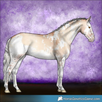 Horse Color:White Spotted Silver Classic Champagne Onyx Splash 