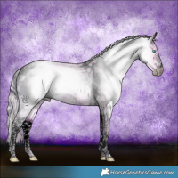 Horse Color:Gray Void Watercolor Cremello Ice Sabino Tobiano