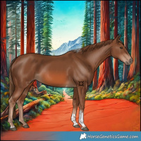 Horse Color:Chestnut Tobiano