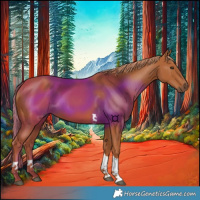 Horse Color:Chestnut Tobiano