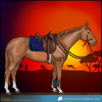 Horse Color:Chestnut Tobiano